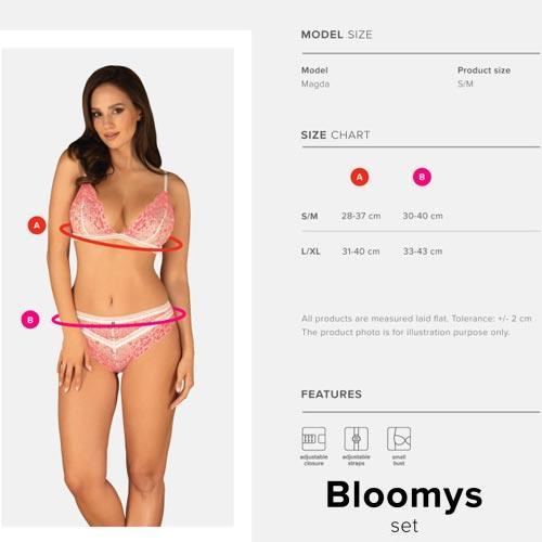 σετ εσώρουχα bloomys sizechart