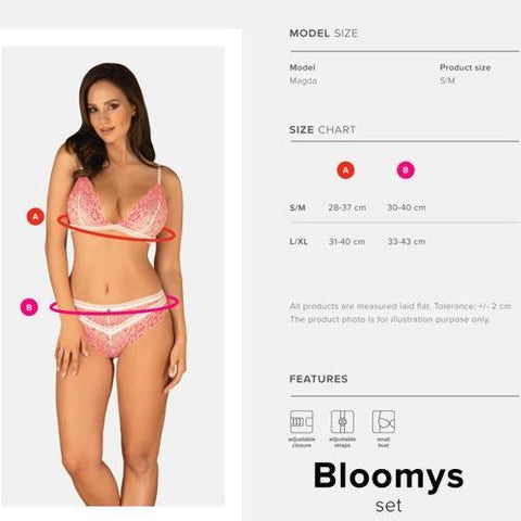 σετ εσώρουχα bloomys sizechart