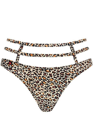 Obsessive - Γυναικείο εσώρουχο - Obsessive selvy thong Λεοπάρ OB6766 - E-string.gr