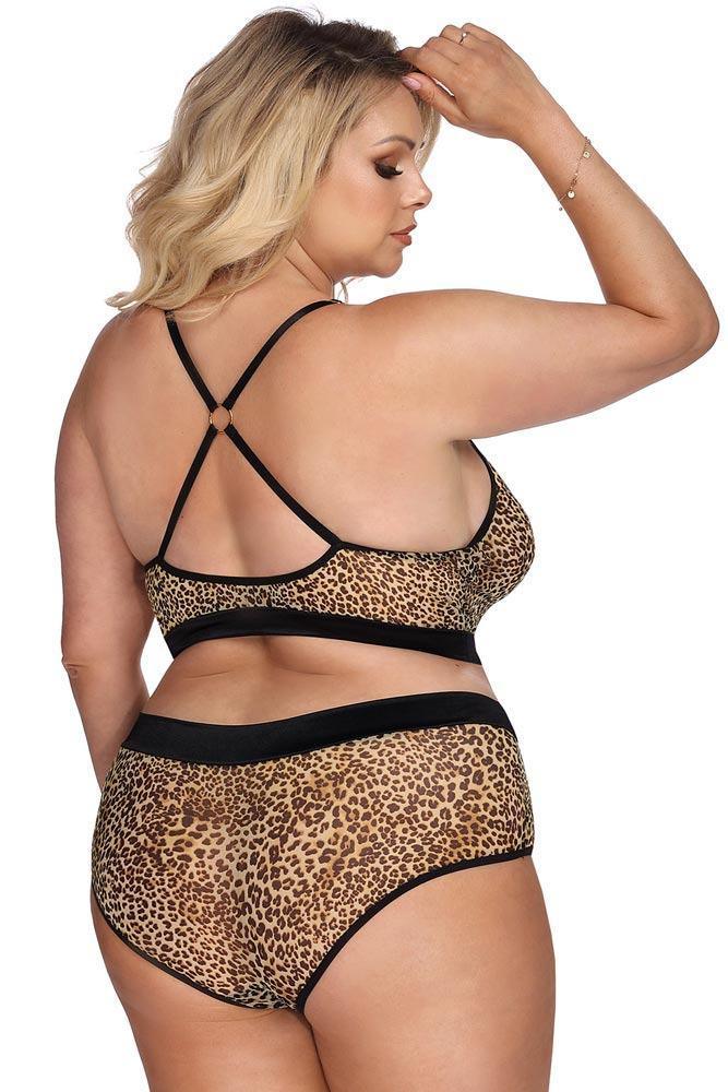 Anais - PLUS SIZE Set - AS Marciana Set Λεοπαρ AS10052 - E-string.gr