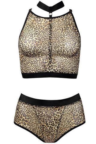 Anais - PLUS SIZE Set - AS Marciana Set Λεοπαρ AS10052 - E-string.gr